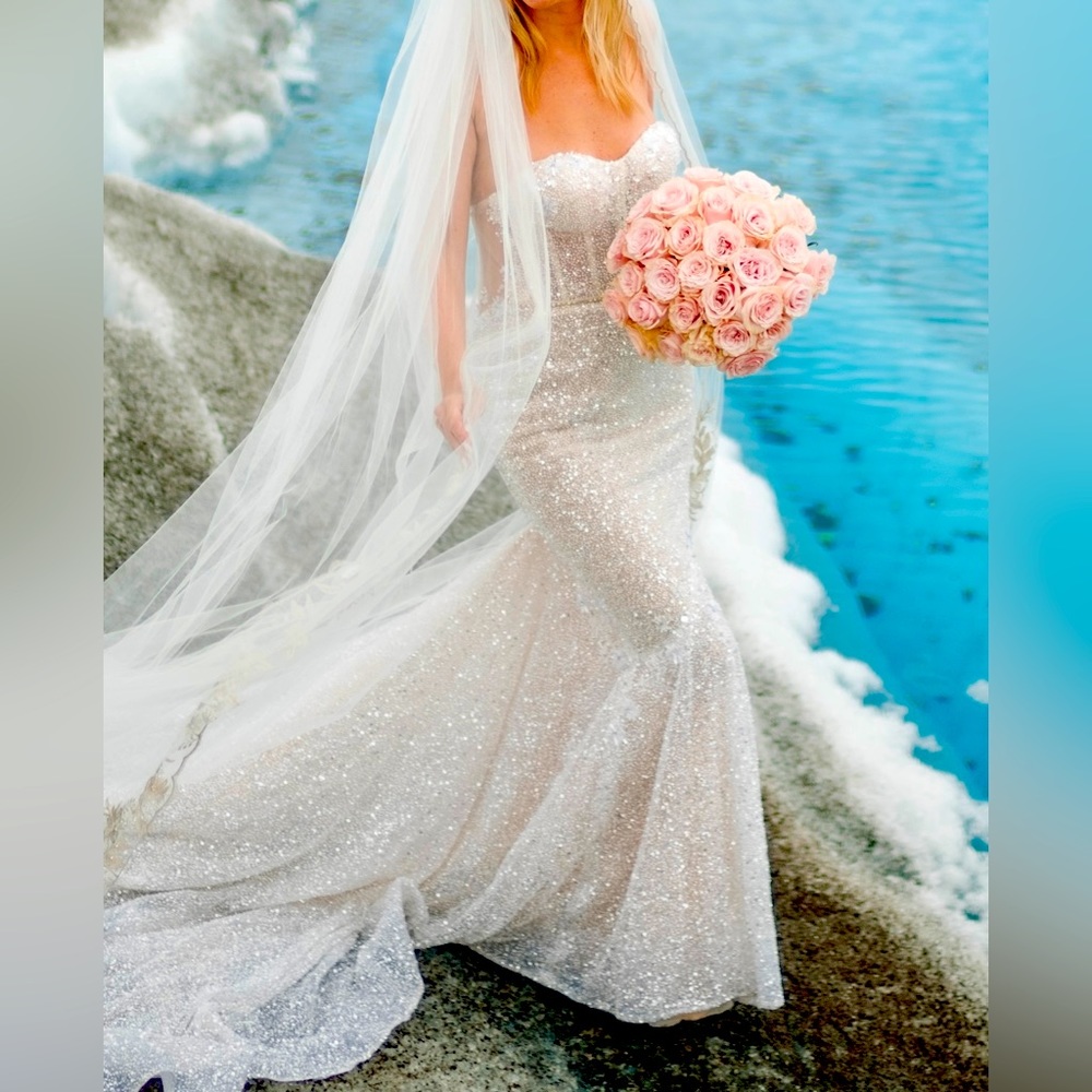 Berta wedding dress, size 40 (small)